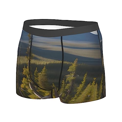 Ocean Fishes Print Men's Boxer Briefs,Luxury Underwear Trunks,Athletic Underwear - Ideal for Daily Athletic2