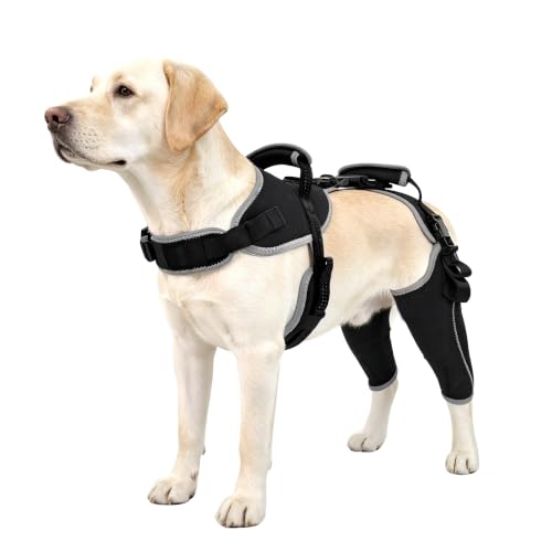 Image of Adjustable Support Dog ACL Brace Hind Leg,Both Leg-Upgraded-XL Size