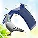 Produktbild 20 Pcs Dove Rest Stand Blue Frame Taubenstangen Roost Dwelling Supplies Birds-EIN