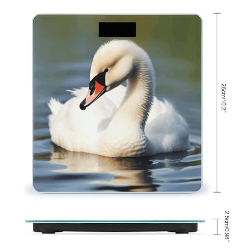 Báscula digital de baño con cristal templado y pantalla LCD miniatura 2