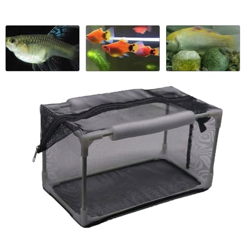 Boîte d'isolement pour protéger les crevettes et bébés poissons des prédateurs - 5