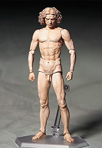 Freeing Table Museum The Vitruvian Man Figma Action Figure #TOP2