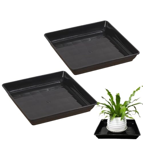 Soucoupes de pot pour un balcon propre et des plantes vertes épanouies - 3