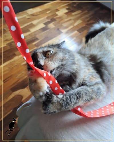 PETGAMES Cat Fita Pet Games - Refil Com 3 Unidades Brinquedo Ocupacional Varinha Para Gatos
