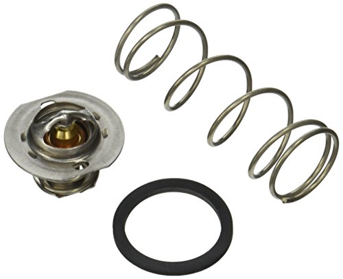 Raypak 062234B Unitherm Governor Versa/Rp2100