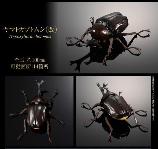 Amazon.co.jp: ヤマトカブトムシ 改 いきもの大図鑑 かぶとむし
