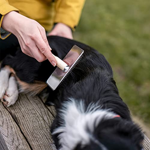 Nobby Nature Line Rupfbürste groß; 11,5 x 5,5 cm, Holzgriff