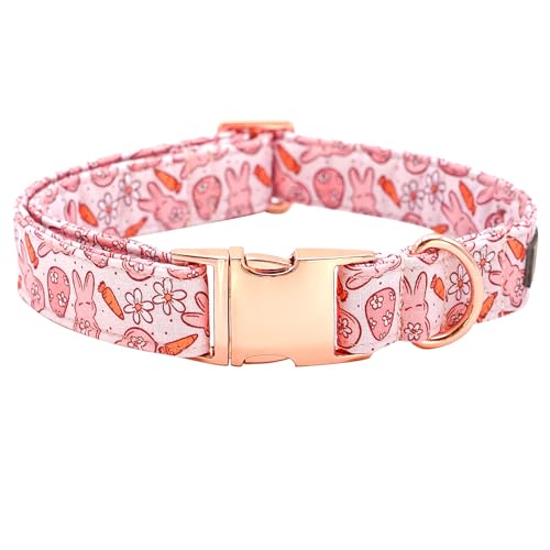 Bobo Rainbow C[X^[f[ ̎ցAsNoj[vg ybg̎ ̎ vȃ^J[  킢̎ ߉\ XSTCY̌p