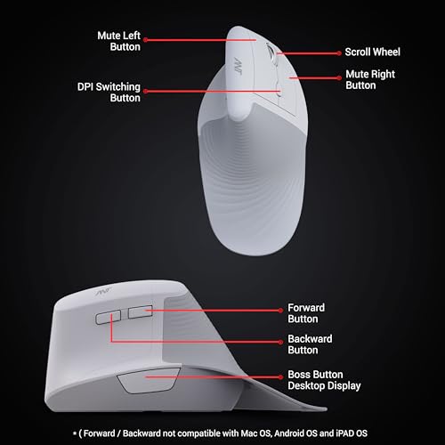 Image of Ant M200 Vertical Wireless Mice, Wireless Ergonomic, Rechargeable,5 Adjustable DPI, Silent 2.4GHz Optical Tunnel, USB Wireless Mouse for Laptop, PC White