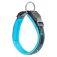 Ferplast hondenriem / leiband sport dog nylon blauw - 200cm x 25mm | heeft het