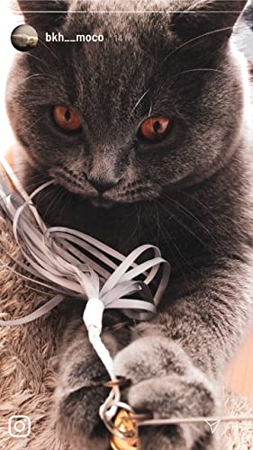 Katzenangel mit Bändern. mit Holzgriff und