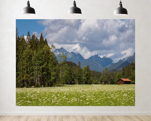 Trykid 5x5ft Alpine Meadow Backdrop Wildflowers Forest Mountain Photography Background