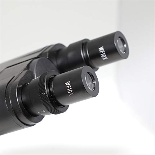 Microscopio binocular 40x-640x X-S-P116B, microscopio digital biológico para estudiantes 5