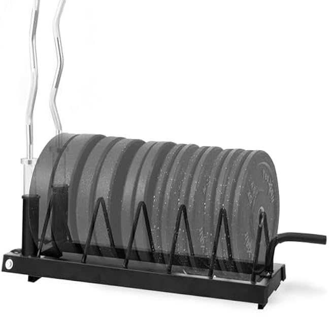 Yes4All 6 Pegs & 4 Barbell Storage Racks Load Up to 1190 LBS - Wall Mounted Weight Plate Tree & Barbell Holder