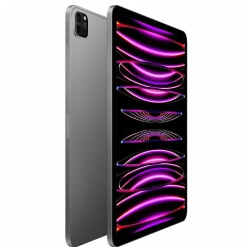 Apple 2022 iPad Pro 12,9 Pouces (Wi-FI + Cellular, 512 Go) - Gris sidéral (6ᵉ génération)