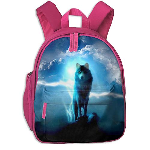 ADGBag Kinderrucksack Schultasche Lighting Wolf Blue Light Sky Children's/Kids School/Nursery/Picnic/Carry/Travelling Bag Backpack Daypack Bookbags