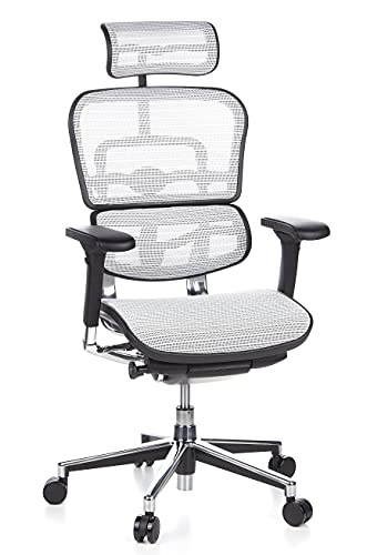 hjh OFFICE 652160 silla de oficina ERGOHUMAN tejido de malla blanco, sólido aluminio pulido, ergonómico