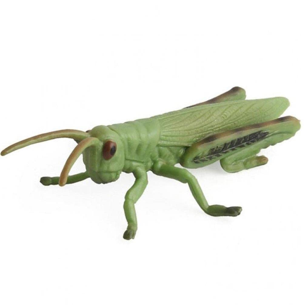 虫の置物 Amazon.co.jp: 昆虫 グラスホッパー おもちゃ 模型 プラスチック製