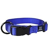 Hamilton 1-Inch Adjustable Dog Collar, Large, Fits 18-Inch by 26-Inch, Blue