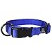 Hamilton 1-Inch Adjustable Dog Collar, Large, Fits 18-Inch by 26-Inch, Blue