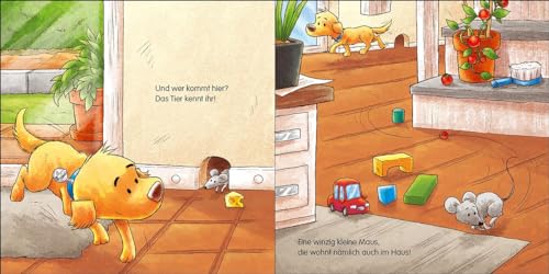 Gute Nacht, kleiner Hund!: Beruhigendes Pappbilderbuch zum Einschlafen ab 2 Jahren (Loewe von Anfang an)