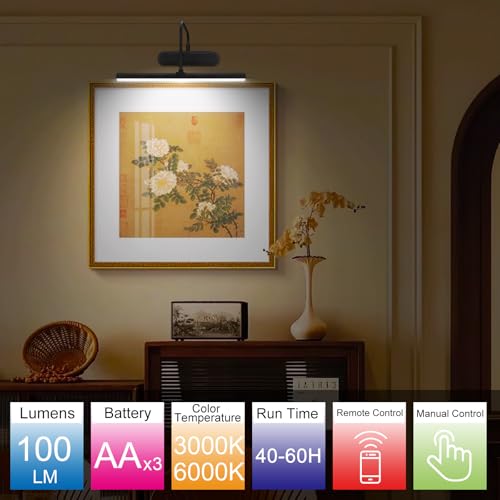 Image of RAIFOOLLY Picture Light,3AA Battery Art Lights for Paintings,Wireless Wall Lighting,Remote Control Accent Light with Timer and Dimmable for Frame,Portrait,Dartboard-Black