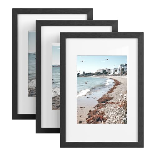 SONGMICS Marcos de Fotos A4, Portafotos de Pared y de Mesa, Tablero MDF, con Clavos sin Rastro, Juego de 3, Negro RPF056BZ01