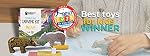 Bear Studiostone Creative Soapstone Sculpture Carving DIY Arts and Crafts Kit for Kids Adults