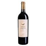 Ausás Interpretación Vino Tinto Crianza, expresión única de Tinta Fina con 15% Vol., perfecto para servir entre 14º y 16ºC y disfrutar su carácter| 1 botella