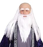 Wizard Adult Disguise Set