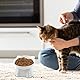 Legpador 2 Stück Futternapf Katze, Katzennapf Erhöht, Fressnapf Katze, Katzennäpfe, Katzenschüssel, Katzenfutternapf, Katzen Essen Schale, Futternapf für Katzen für Katzenfutter und Wasser(Weiß)