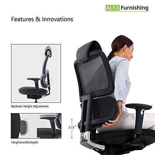 Executive Office Chair for Home Office, ALFA Furnishing Ergonomic Office Chair Computer Chair with Lumbar Support and Adjustable Backrest & 3D Armrests & Cushion (with Heardrest, Black)