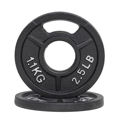 Powergainz Olympic 2-Inch Cast Iron Plate Weight Plate for Strength Training, Weightlifting and Crossfit, Gray