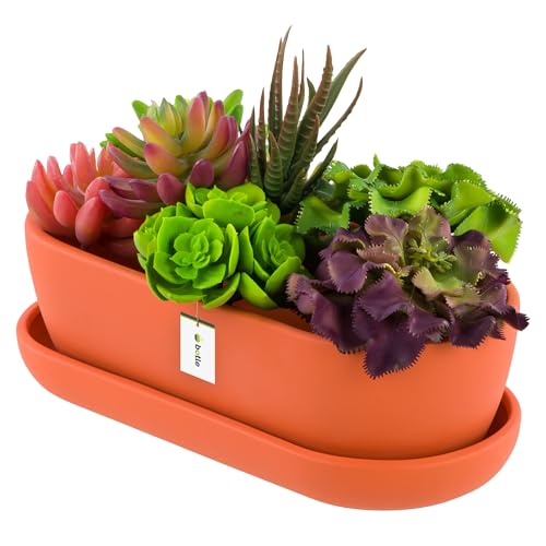 botle Pot de fleurs ovale en céramique orange avec soucoupe - 13 x 27,5 x 8 cm - Surface mate - Moderne et glamour