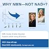 NMN 500mg Supplement - Beta Nicotinamide Mononucleotide Supplements to Boost NAD+ Levels & Cellular Energy, Supports Healthy Aging - 60 Vegan Capsule