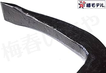 41v6O5FDevL._AC_UF350,