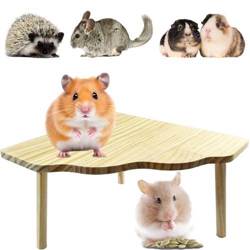 SZSMW Hamster Plattform - Hamster ZubehöR FüR Den KäFigplattform - Geeignet FüR Hamster, Kaninchen, Chinchillas, Meerschweinchen Und Gutes Spielzeug, die Bewegung FöRdern KöNnen (22cm*13cm) SZSMW Hamster Plattform - Hamster ZubehöR FüR Den KäFigplattform - Geeignet FüR Hamster, Kaninchen, Chinchillas, Meerschweinchen Und Gutes Spielzeug, die Bewegung FöRdern KöNnen (22cm*13cm)