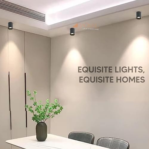 Image of JACKAL LED 20 Watts Natural White Round Surface Light Cylindrical Shape Indoor Ceiling Mounted Spot Light Cob Down Light Aluminium Body - Black Reflector