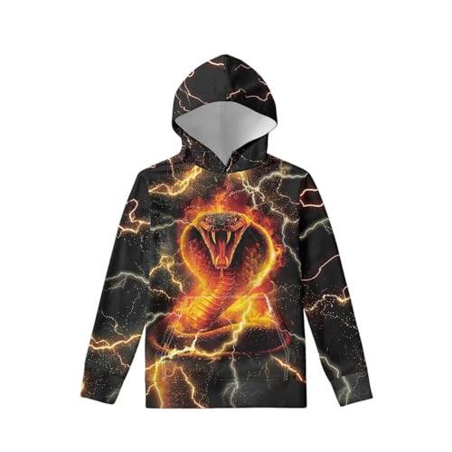 Image of WELLFLYHOM Boys Hooded Sweatshirts Hoodie Pullover Cool Graphic Crewneck Blouses Size 6-16