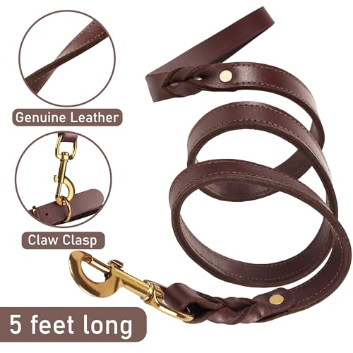 1,5 Meter Premium Leder Hundeleine und Halsband Set für stilvolle Hunde, weiches Lederhalsband und Starke doppelt geflochtene Leine, bequemes und sicheres Hundetraining, Spielen (Groß)