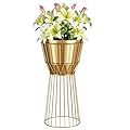 MSTFLOR Metal Plant Stand with Pot 12" - Decorative Metal Plant Holder Stand Indoor, Gold Plant Stand Modern Flower Potted Rack for Corner Display, Living Room, Office, Modern Home Decor,gold