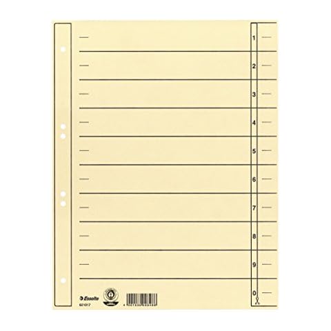 Esselte Leitz Trennblatt, A4 Cover