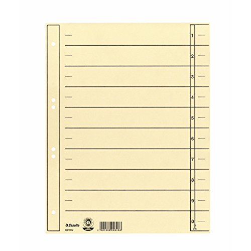 Esselte Leitz - Divisori in cartoncino, formato