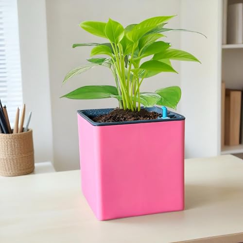 Image of Indian Discovery Self Watering Tabletop Planter| Flower Pots for Home, Terrace, Balcony, Garden Decor Flower Pots(1 PC, Baby Pink, Square) |6 Inch UV-Resistant Plastic Plant Pots