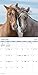 2024 Horses Wall Calendar