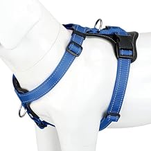 Plutus Pet Adjustable No Pull Dog Harness with Leather Accents, Heavy Duty Reflective Nylon Vest for Training, Hiking, Easy Walk Harness for Small, Medium, Large Dogs Royal Blue, M