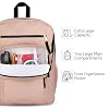 JanSport Laptop Backpack - Computer Bag with 2 Compartments, Ergonomic Shoulder Straps, 15 Laptop Sleeve, Haul Handle - Black