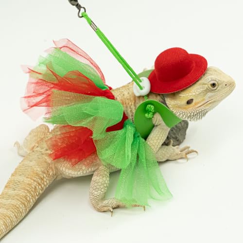 Wodison Fantasia de Natal Dragão Barbudo Tutu Saia Bowler Chapéu Arreio Arnês Réptil Natal Cosplay A