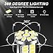 iFunyLED 10 Pieces 194 LED Bulb Super Bright 6500K T10 168 2825 W5W 34-SMD 3014 Chipsets Replacement Bulbs for Car Trunk Interior Dome Map Door Dash Courtesy License Plate Lights - Xenon White