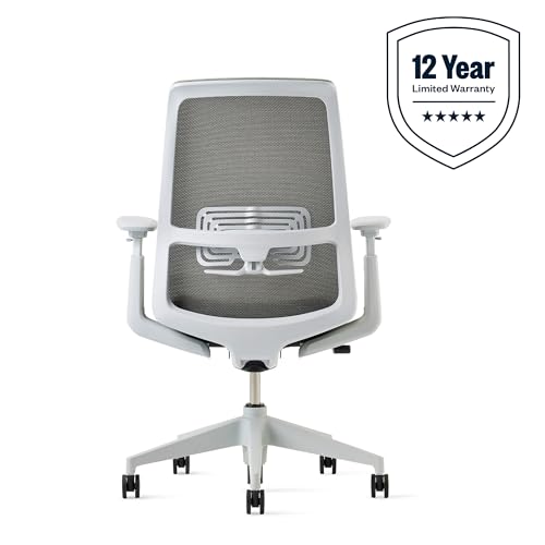 Haworth Fern ergonomic chair